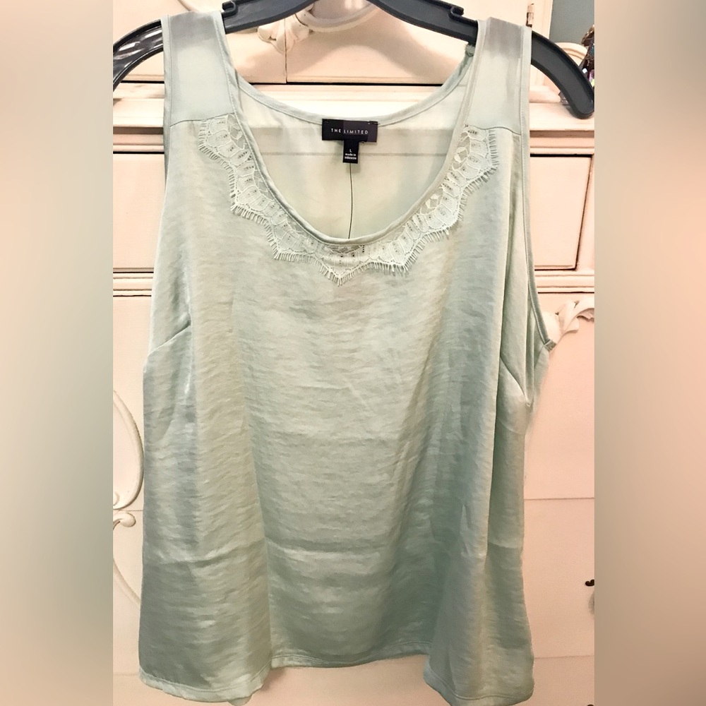 Limited Mint Green Sleeveless Polyester Top, M/L